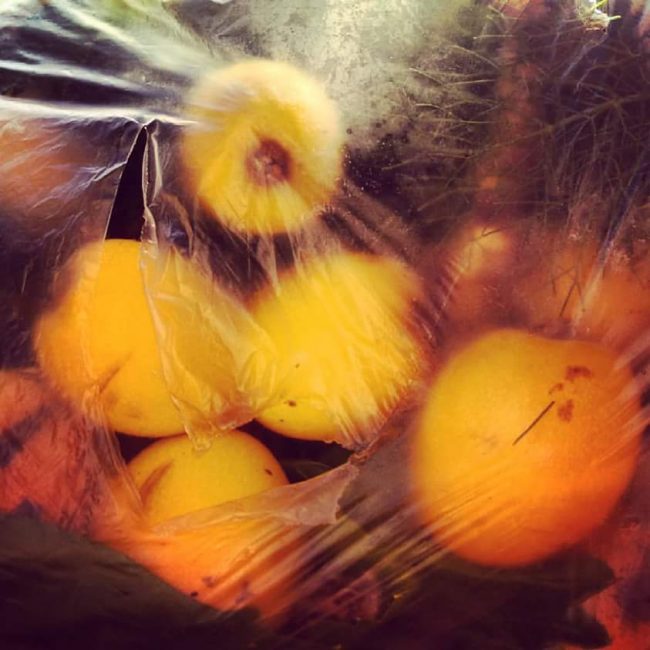 Christina Pantazopoulou