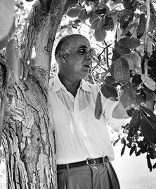 Ο φωτογράφος Γιώργος Σεφέρης