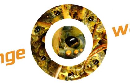Φεστιβάλ Σύγχρονης Τέχνης ORANGE WATER 4