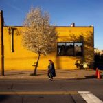 Ο Νίκος Γ. Καλλιανιώτης επιλέγει …