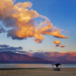 «Η λίμνη Κερκίνη και τα πέριξ» – ομαδική έκθεση φωτογραφίας