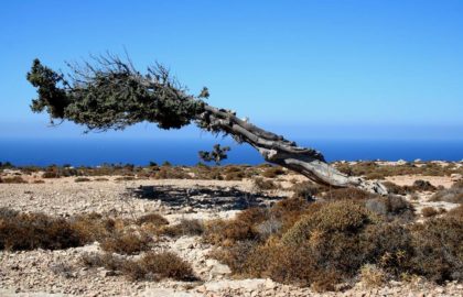 Φωτογραφική Λέσχη Βόλου: 11ος ΠΑΝΕΛΛΗΝΙΟΣ ΔΙΑΓΩΝΙΣΜΟΣ ΦΩΤΟΓΡΑΦΙΑΣ «ΔΗΜΗΤΡΗΣ ΛΕΤΣΙΟΣ»