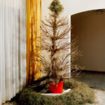 Κυριακή μεσ’ τον χειμώνα (VII)