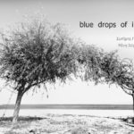 “Blue drops of ink”| Όταν η ποίηση συναντά την φωτογραφία