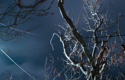 Oι νικητές των Sony World Photography Awards 2020