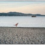 Seaside life ΚΑΛΑΜΑΤΑ – έκθεση φωτογραφίας της Τζένης Λυκουρέζου