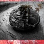 Παρουσίαση του έργου της Gihan Tubbeh από το Φωτογραφικό Κέντρο Θεσσαλονίκης