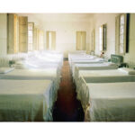 Οπτικοποιώντας την ανθρωπότητα | Ψηφιακή έκθεση του Δικτύου Μουσείων Σύγχρονου Πολιτισμού