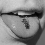 Humble Arts Foundation | Embracing Stillness