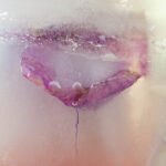 Βούλα Φιλιππάκη – My frozen world