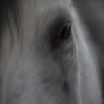 19 Αυγούστου 2025 – Παγκόσμια ημέρα φωτογραφίας | Τεχνητή νοημοσύνη: το νέο ήθος (και η ηθική) στη φωτογραφία