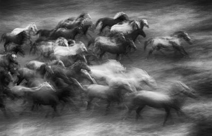 Fine Art  | Θεματική έκθεση φωτογραφίας στην Blank Wall Gallery