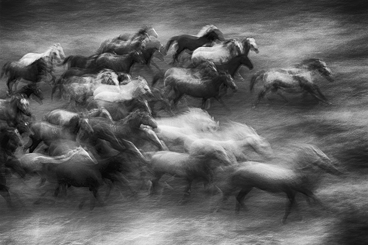 Fine Art | Θεματική έκθεση φωτογραφίας στην Blank Wall Gallery