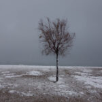 Ο Κώστας Φραγκούλης επιλέγει …