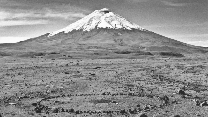 Ατομική έκθεση του Richard Long στη γκαλερί Bernier/Eliades