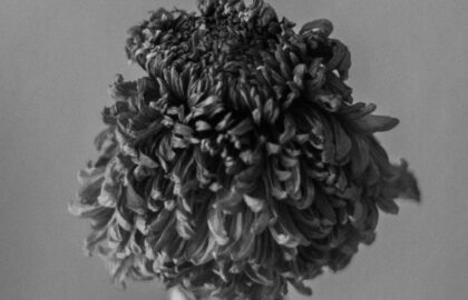 Διατομική έκθεση “Ephemeral” των Ιωάννας Τερλίδου και Piyi Wong στην FokiaNou Art Space