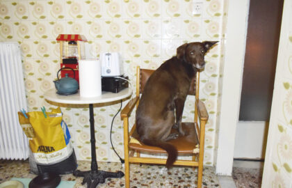 Rawt – Ατομική έκθεση φωτογραφίας του Νίκου Νικόπουλου