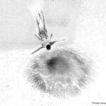 Παράλληλοι κόσμοι | Ομαδική έκθεση φωτογραφίας από την Ελληνική Φωτογραφική Εταιρεία Ηρακλείου