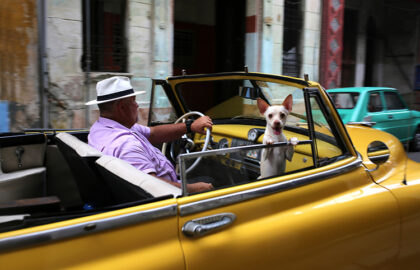 Διεθνής έκθεση φωτογραφίας: Travel στην Blank Wall Gallery