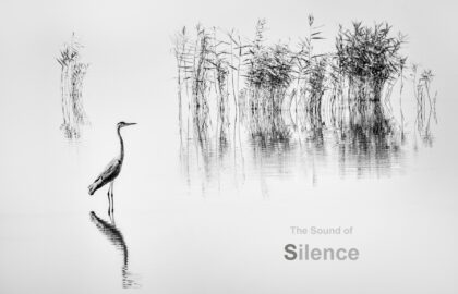 Ο Ήχος της Σιωπής | Έκθεση φωτογραφίας του Γιώργου Διγαλάκη στη Luminous Eye