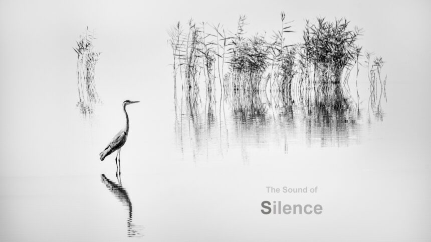 Ο Ήχος της Σιωπής | Έκθεση φωτογραφίας του Γιώργου Διγαλάκη στη Luminous Eye