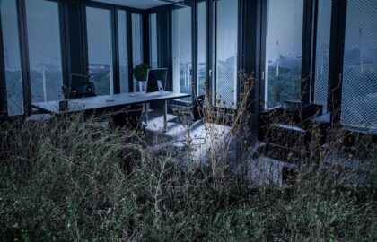 Μωβ | Δημήτρης Μυτάς – Ατομική έκθεση φωτογραφίας