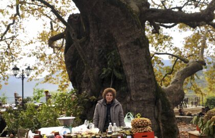 Βιωματικό φωτογραφικό εργαστήριο στον Ταΰγετο με την Μάρω Κουρή