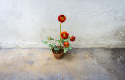 Πρόσκληση για συμμετοχή σε  έκθεση στη Luminous Eye με θέμα: “Ένα όνειρο”