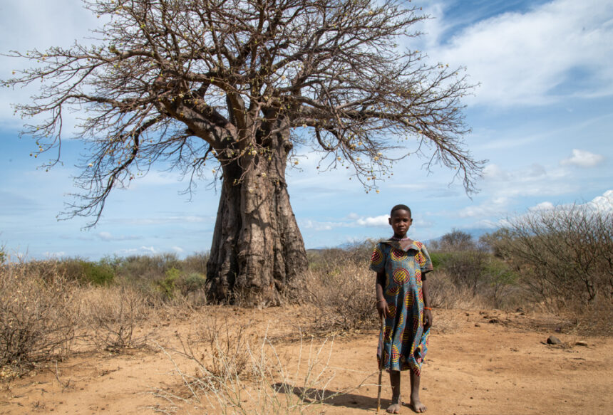 Τανζανία – Η Αφρικανική Εδέμ