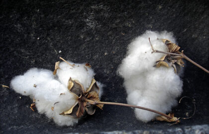 Πέτρος Χελιώτης | “Αναπάντεχες Συναντήσεις” – Ατομική έκθεση φωτογραφίας στην Blank Wall Gallery