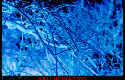 HALLUCINATION OF NATURE | Ατομική έκθεση φωτογραφίας του Alexander Ibrahimi στην o.art.ath