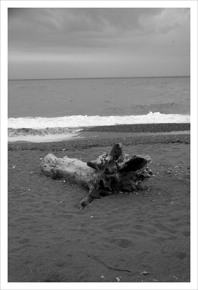 Η Τερψιχόρη Κουζούνη επιλέγει …