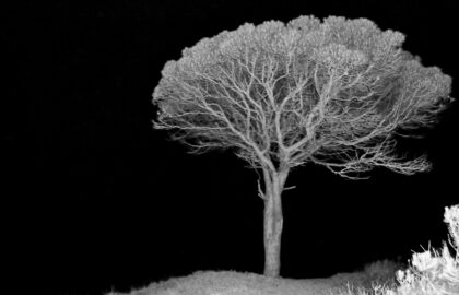 Rumble | Έκθεση φωτογραφίας, παρουσίαση λευκώματος του Άλκη Κανελλόπουλου