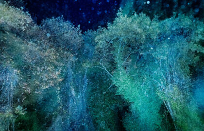 Τάσος Βρεττός  | Φωτογραφική παρουσίαση