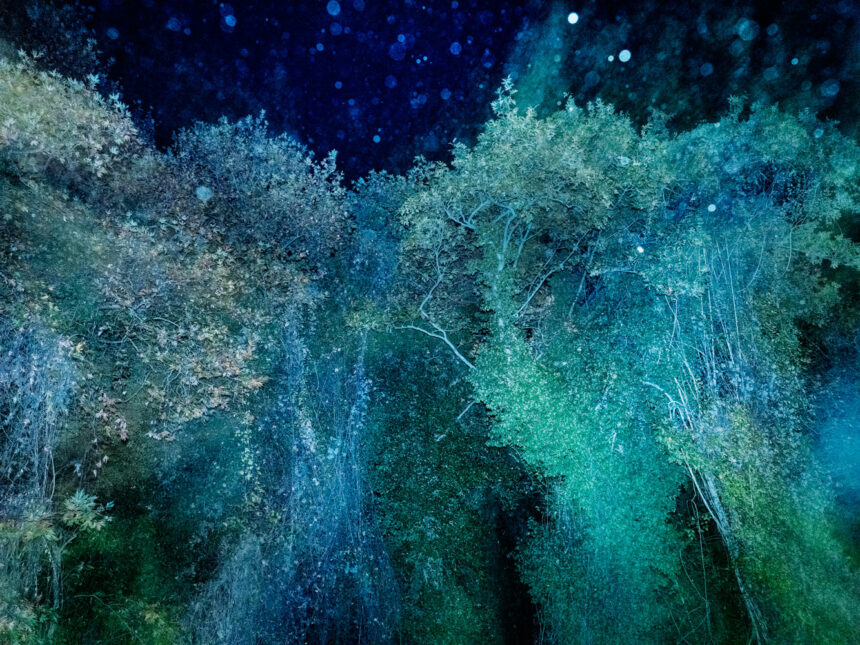 Τάσος Βρεττός  | Φωτογραφική παρουσίαση