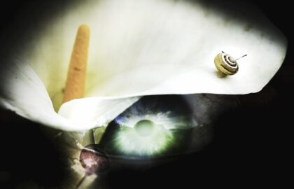 Γωνία λήψης | Διακριθέντες Διαγωνισμού με θέμα: “Πειραματική Φωτογραφία”