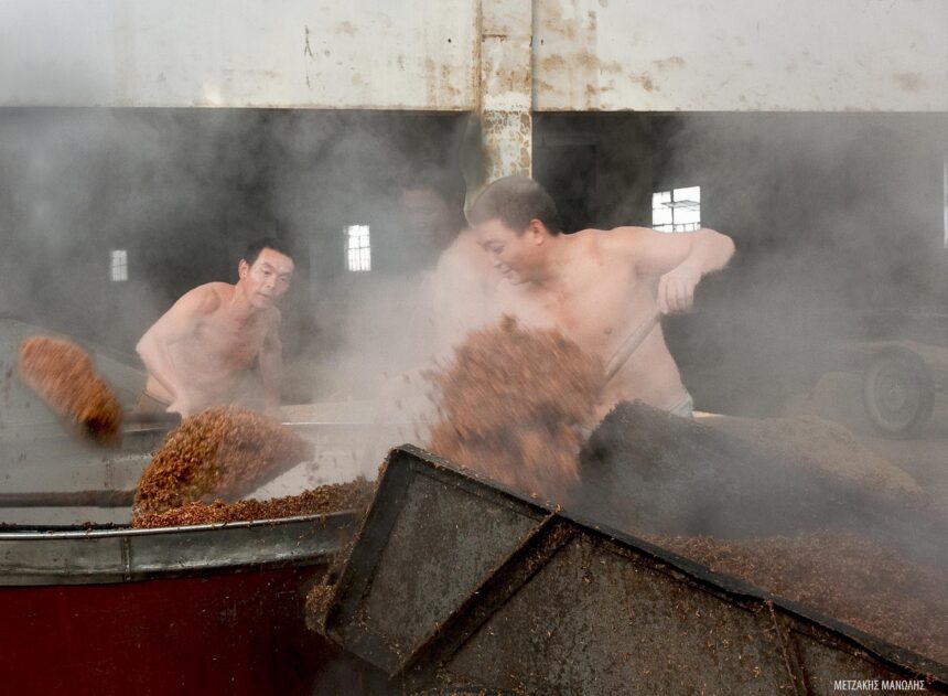 Μιλώ για την κίνηση | έκθεση φωτογραφίας από την Ελληνική Φωτογραφική Εταιρεία Ηρακλείου