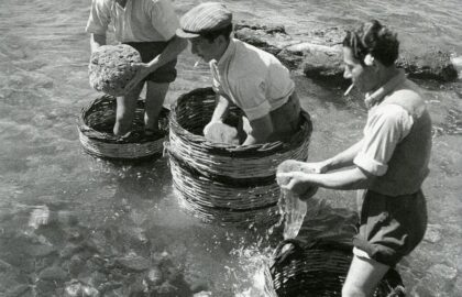 Σώμα του καλοκαιριού (Ιούλιος Ι)