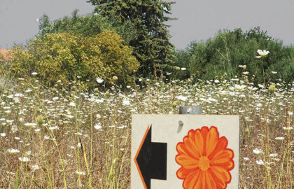 “Flower Power 2” | Ομαδική έκθεση στην FokiaNou Art Space