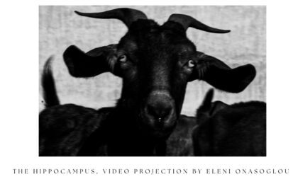 The Ippocampus Video projection από την Ελένη Ονάσογλου