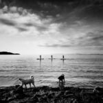 Η Φαίη Πίττα επιλέγει …