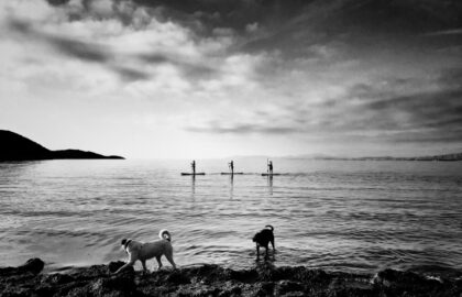 Η Φαίη Πίττα επιλέγει …