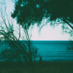 Ο Κωστής Παταργιάς επιλέγει …