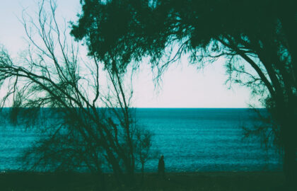 Ο Κωστής Παταργιάς επιλέγει …