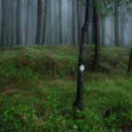 Ο Κωνσταντίνος Πατσάκης επιλέγει …