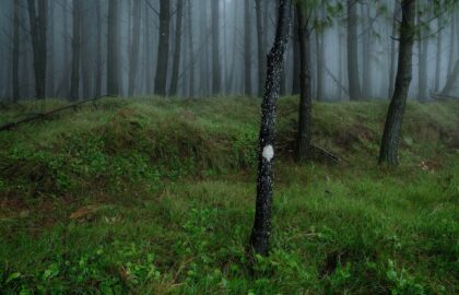 Ο Κωνσταντίνος Πατσάκης επιλέγει …