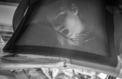 Η Κατερίνα Ράικου επιλέγει …