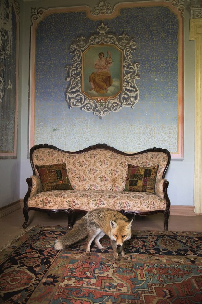 PhotoBiennale 2023 | Εγκαινιάζονται οι πρώτες εκθέσεις