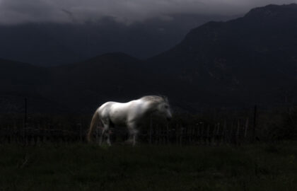 Ο Στέλιος Βαλσαμίδης επιλέγει …