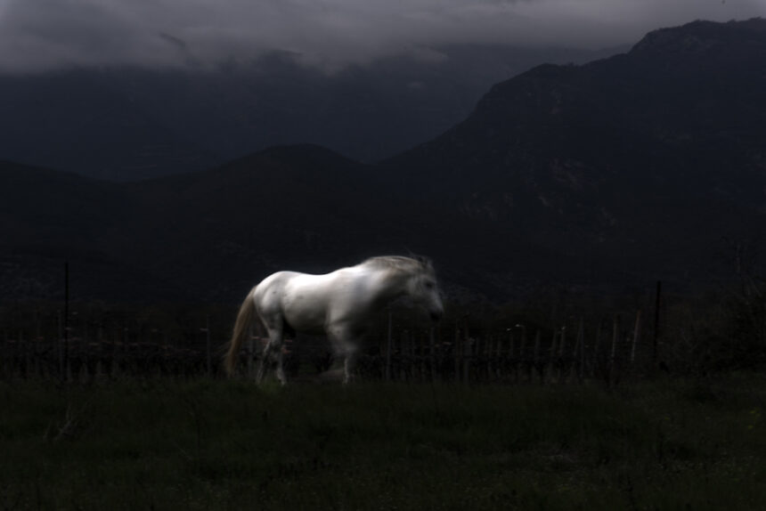Ο Στέλιος Βαλσαμίδης επιλέγει …